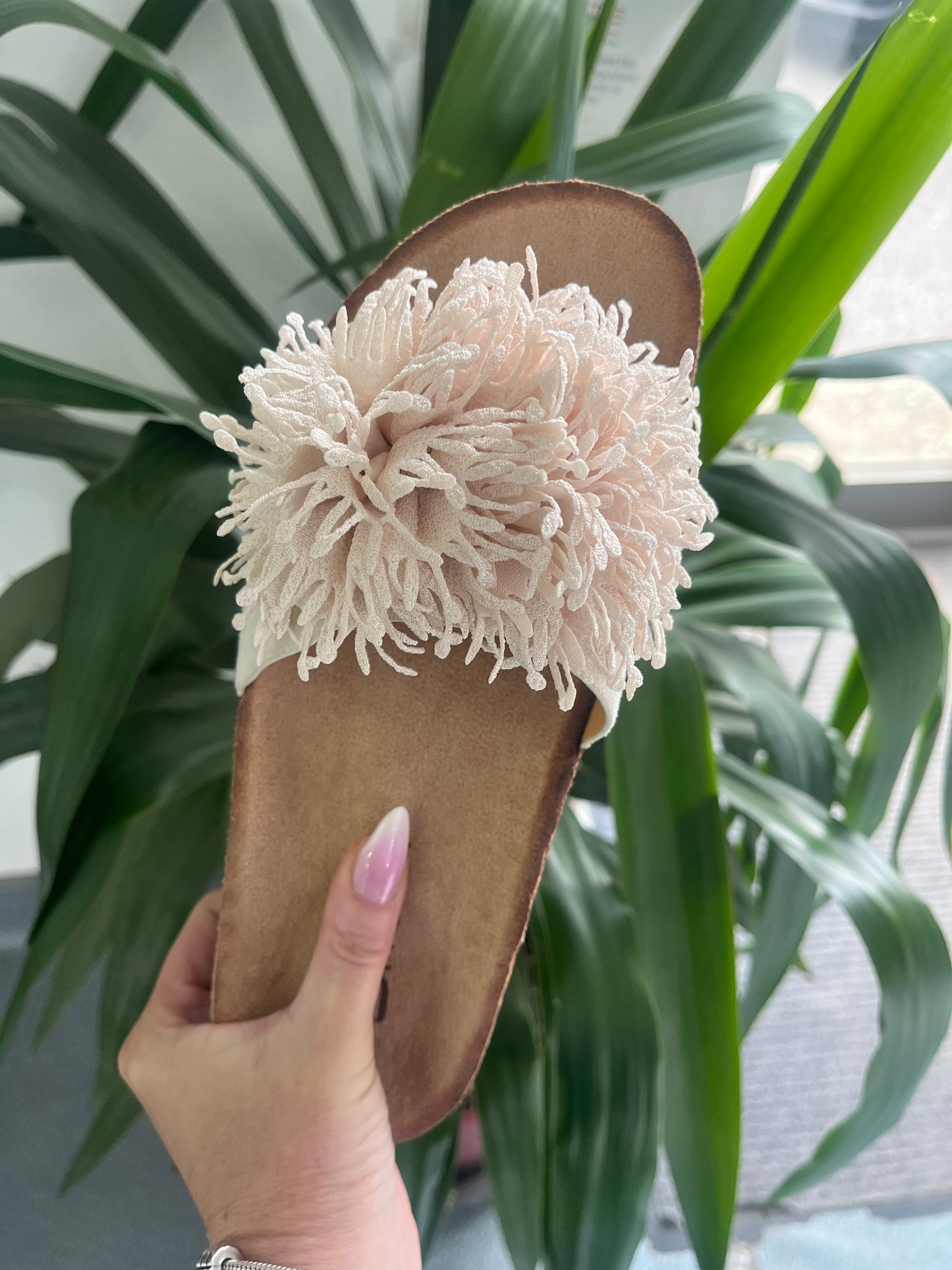 Corkbed Urchin Sliders  - Cream